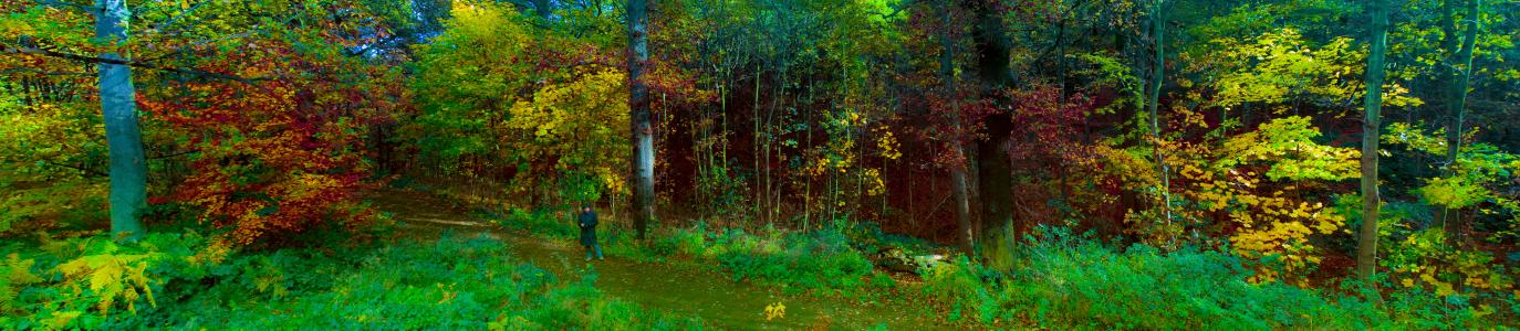 Name: Middletons Woods Camera make: OLYMPUS IMAGING CORP. Model: OLYMPUS IMAGING CORP. Software: Adobe Photoshop CS3 Windows